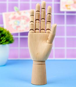 Модель деревянная "Рука" 25,5 см оптом
