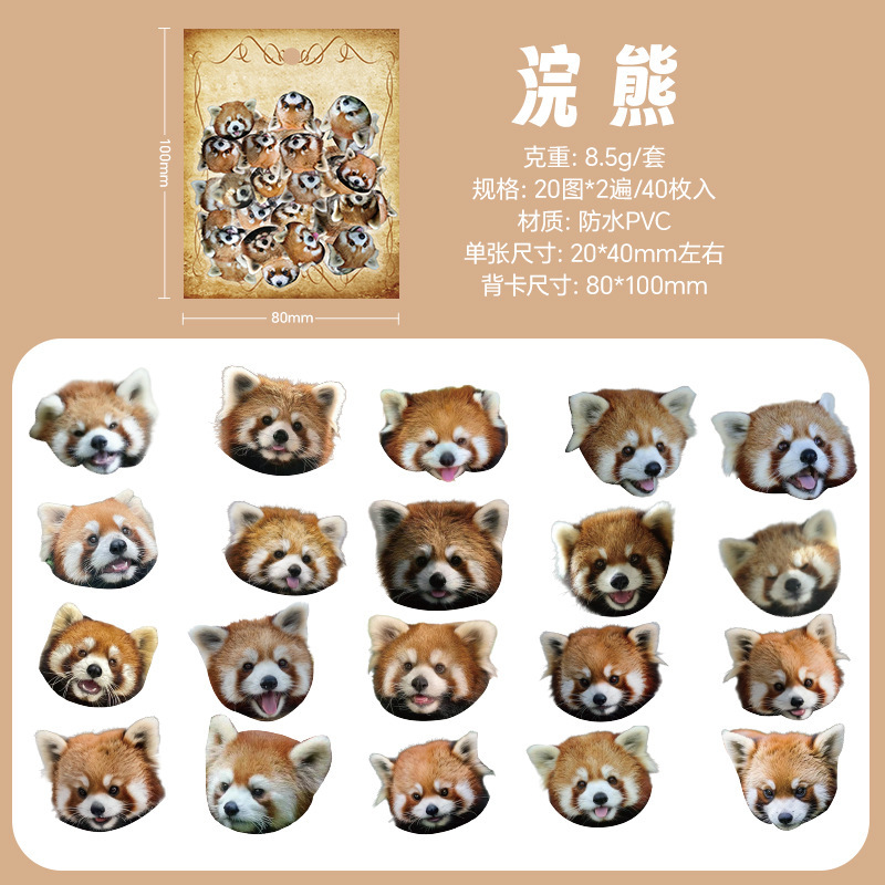 Набор наклеек "Muzzle" Енот 