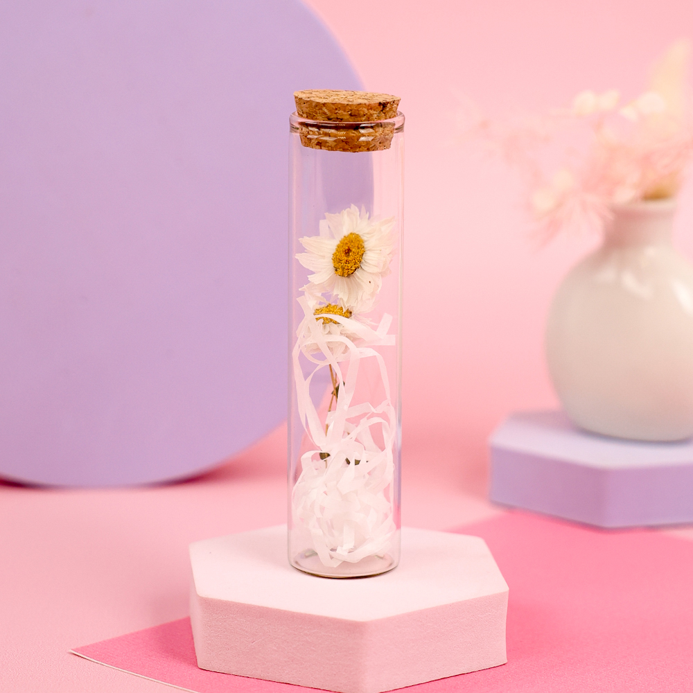 Цветок в пробирке "Ромашка" 12 см