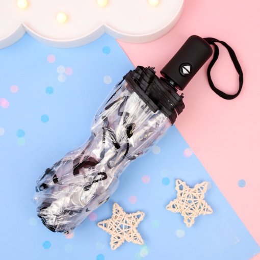 Зонт-автомат "Иероглифы" прозрачный