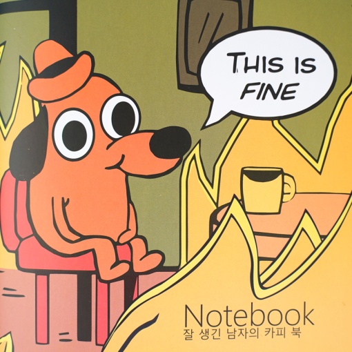 Тетрадь "This is Fine" 48 листов
