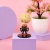 Набор фигурок "My Hero Academia" 10 см, 5шт оптом