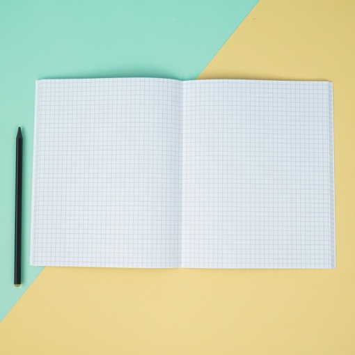 Тетрадь "D Note" 48 листов