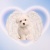 Блокнот на кольцах "Cute Puppy" А5
