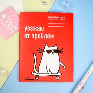 Тетрадь "Беспроблемная" 48 листов (STORIZ) 