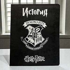 Тетрадь "Гарри Поттер" история, A5, 48 листов (клетка)