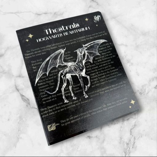 Тетрадь "Harry Potter" черный, A5, 48 листов (клетка), в ассортименте,1шт