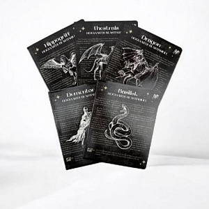 Тетрадь "Harry Potter" черный, A5, 48 листов (клетка), в ассортименте,1шт