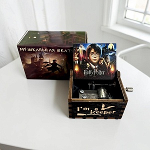 Музыкальная шкатулка "Harry Potter" the Hogwarts era (цвет.кор)