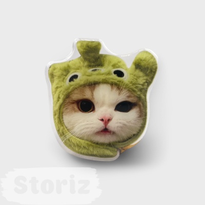 PopSocket "Котик" в зеленой шапочке