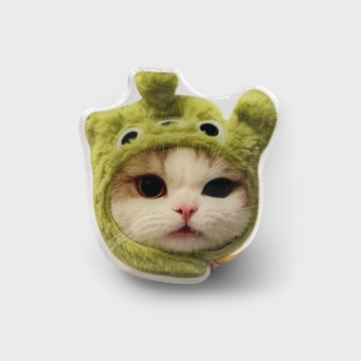 PopSocket "Котик" в зеленой шапочке