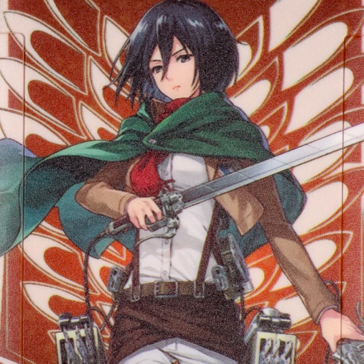 Чехол для карты "Атака Титанов" №6