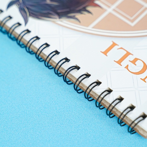 Скетчбук "Genshin Impact" 12, A4 (25 листов)