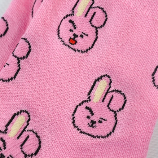 Носки "BT-21" Cooky