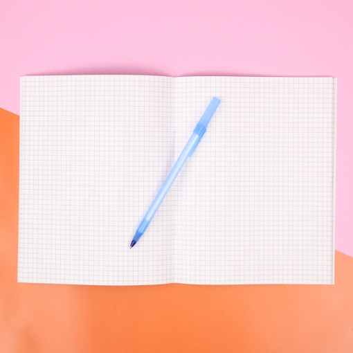 Тетрадь "Котики" розовый, 48 листов (STORIZ) 