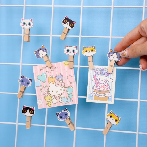 Набор прищепок "Глазастый котёнок"