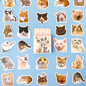 Набор наклеек "Meow sadventure", 46 шт.
