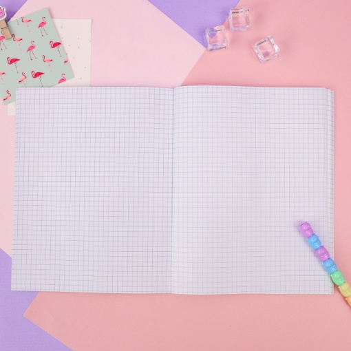 Тетрадь "Глазастик" 48 листов