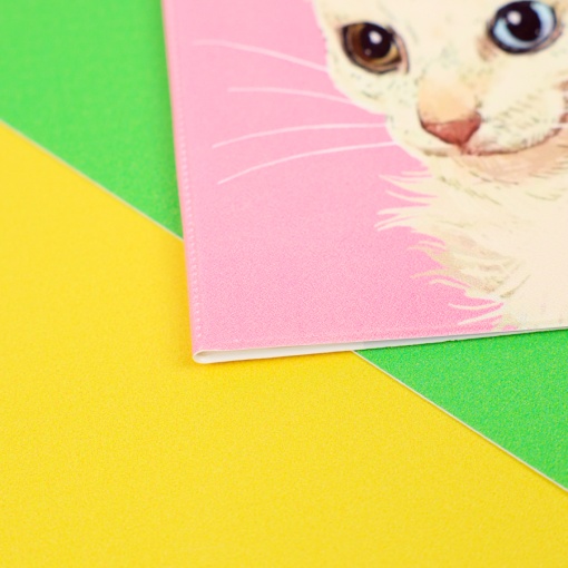 Обложка на паспорт "Cat loading" STORIZ