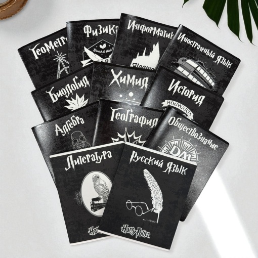 Тетрадь "Гарри Поттер" русский язык, A5, 48 листов (линейка)