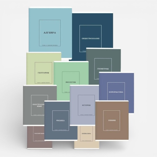 Набор предметных тетрадей "Nude color", A5, 48 листов, 12шт