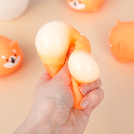 Сквош "Сиба-Ину"