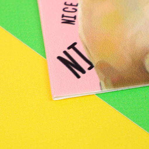 Обложка на паспорт "Nice cat" STORIZ