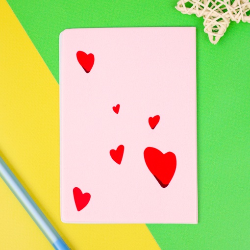 Обложка на паспорт "Magic Catssport" STORIZ