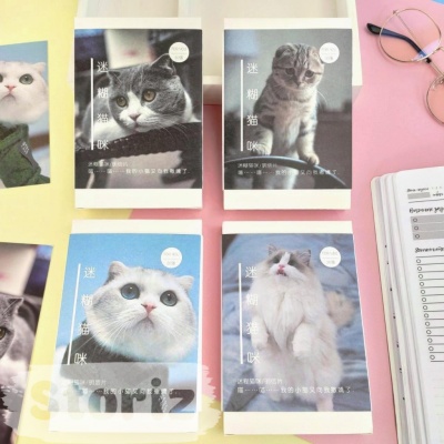 Набор открыток "Cats"