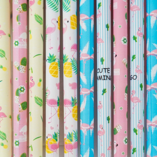 Набор цветных ручек "Фламинго"