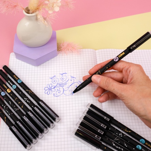 Набор ручек со стирашкой "Созвездие" №1364, 12 шт