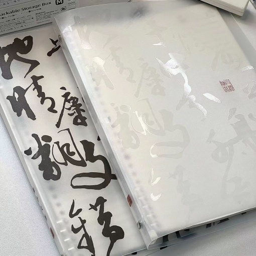 Блокнот на кольцах "Иероглифы" прозрачный (60 листов) 