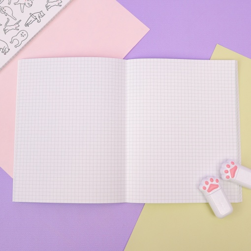 Тетрадь "Чумной кот" 48 листов