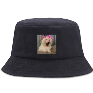 Панама "Котик в сердечках" черный (56-58см)