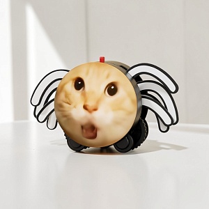 Игрушка "The spider's quirky crawling" meme cat