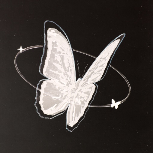 Блокнот на кольцах "Butterfly" черный, А5