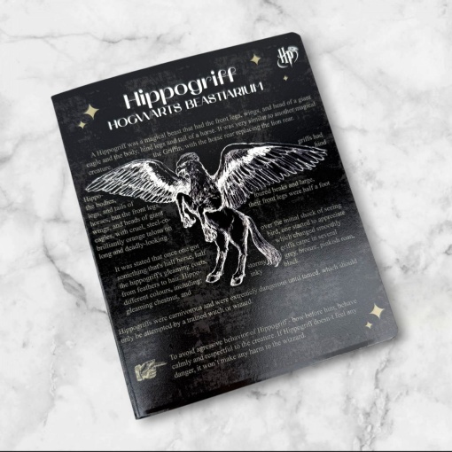 Тетрадь "Harry Potter" черный, A5, 48 листов (клетка), в ассортименте,1шт