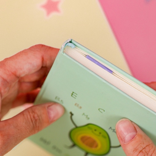 Набор закладок "Санре" 6шт. (в ассортименте)