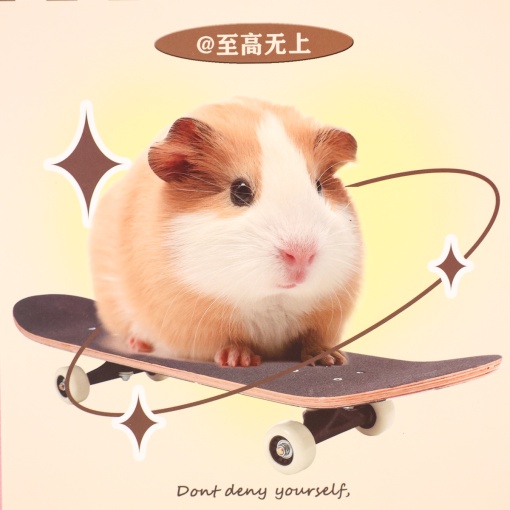 Блокнот на кольцах "Морская свинка на скейтборде" А5