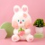 Мягкая игрушка "Кролик с клубникой" 45см
