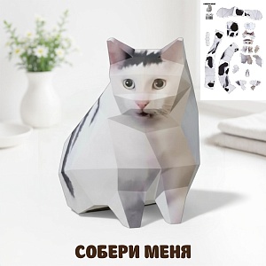Моделирование из бумаги "Memes cat" Huh