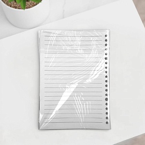 Набор листов для блочной тетради "Линейка" 144х206мм А5, 80шт  