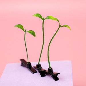 Заколка для волос "Росток"