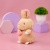 Мягкая игрушка "Bunny" бежевый, 25 см