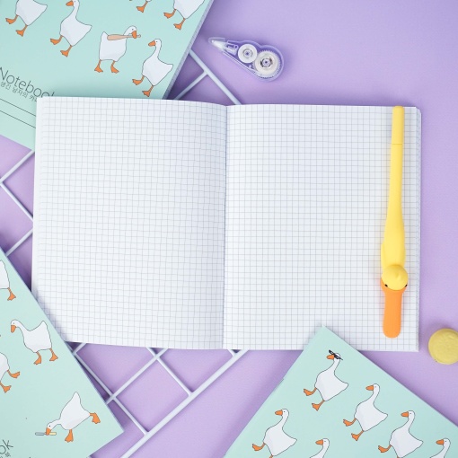 Тетрадь "Гуси" 48 листов