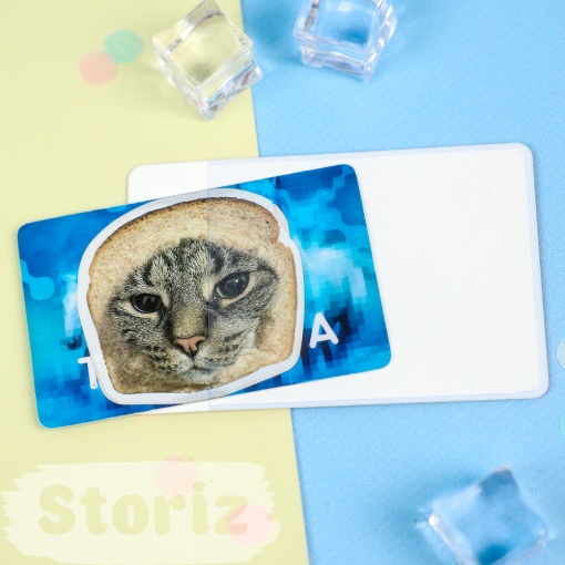 Чехол для карты "Скелет" STORIZ