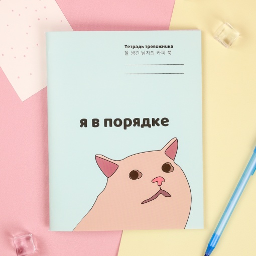 Тетрадь "Я в порядке" 48 листов (STORIZ) 