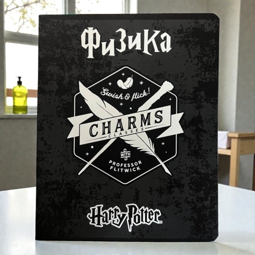 Тетрадь "Гарри Поттер" физика, A5, 48 листов (клетка)
