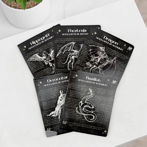 Тетрадь "Harry Potter" черный, A5, 48 листов (клетка), в ассортименте,1шт