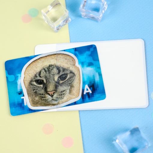 Чехол для карты "Fire cat" STORIZ